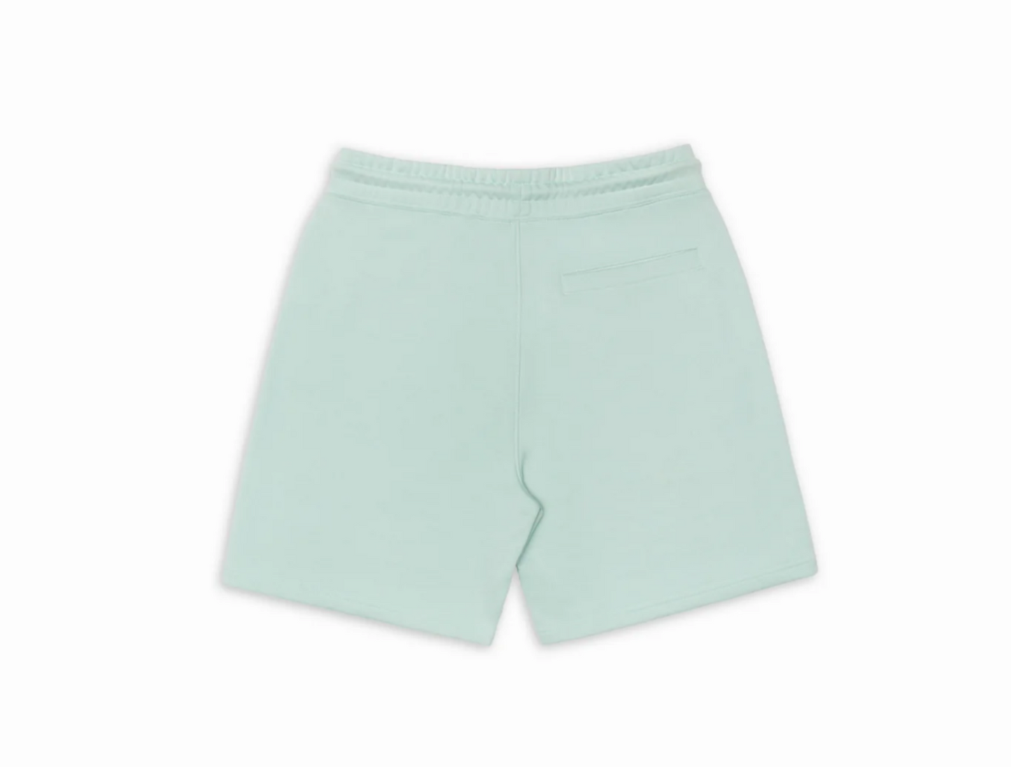 Amoor Seafoam Cotton Shorts